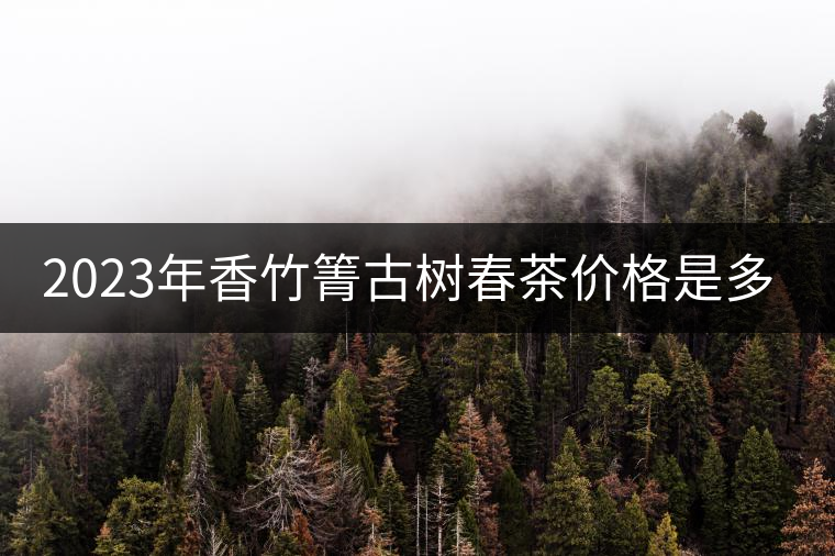 2023年香竹箐古樹春茶價格是多少? 2023年香竹箐古樹春茶價格是多少?