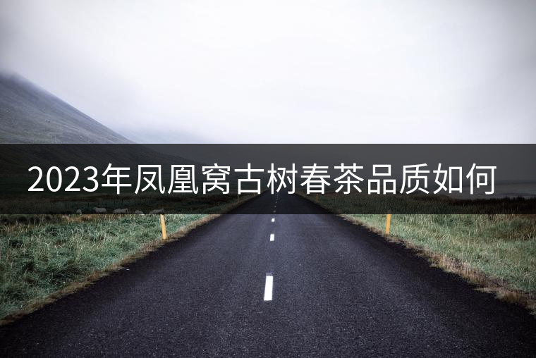 2023年鳳凰窩古樹春茶品質(zhì)如何？