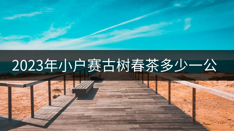 2023年小戶賽古樹春茶多少一公斤？