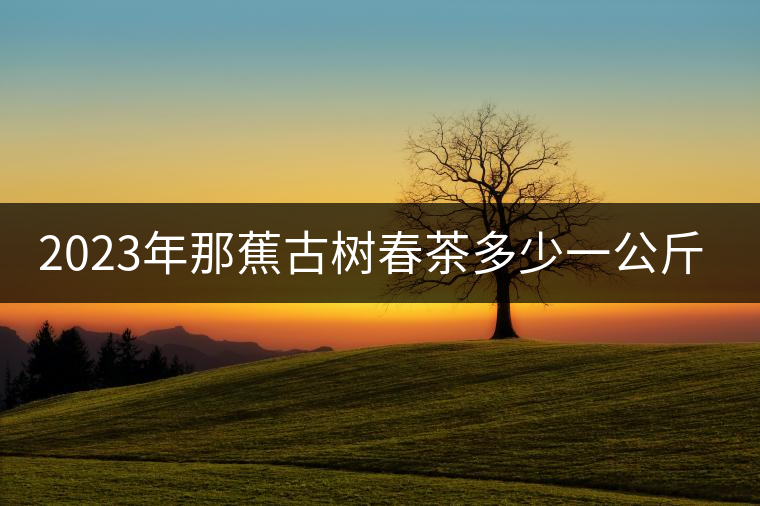2023年那蕉古樹春茶多少一公斤? 2023年那蕉古樹春茶多少一公斤?