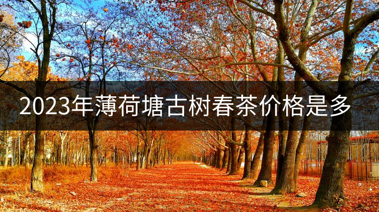 2023年薄荷塘古樹春茶價格是多少? 2023年薄荷塘古樹春茶價格是多少?