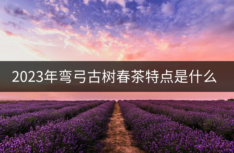 2023年彎弓古樹春茶特點是什么？
