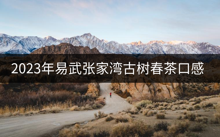 2023年易武張家灣古樹春茶口感怎么樣? 2023年易武張家灣古樹春茶口感怎么樣?