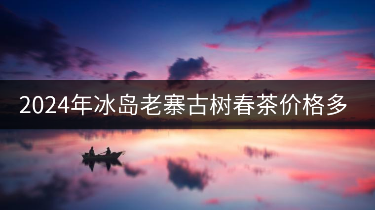 2024年冰島老寨古樹春茶價格多少？