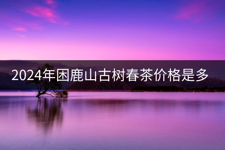 2024年困鹿山古樹春茶價格是多少？