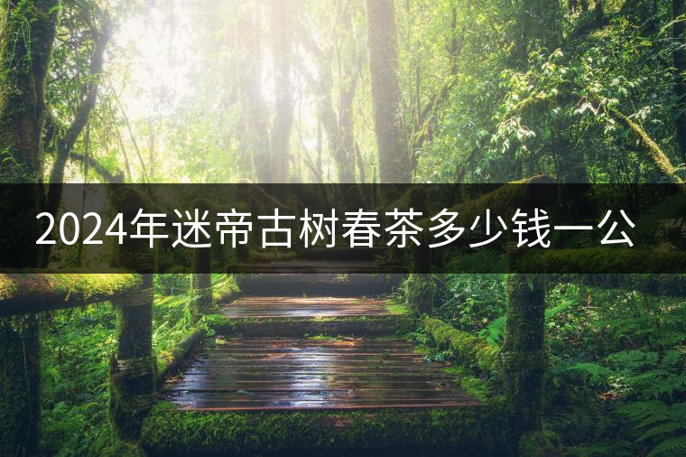 2024年迷帝古樹春茶多少錢一公斤？