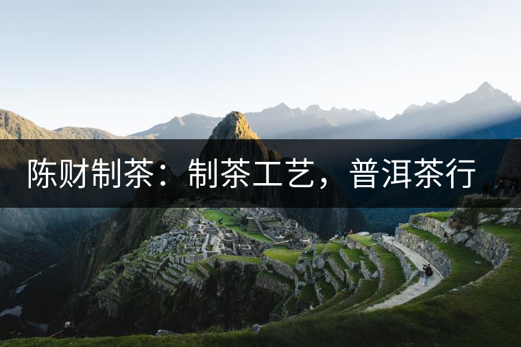 陳財制茶:制茶工藝,普洱茶行業的生死線 陳財制茶:制茶工藝,普洱茶行業的生死線