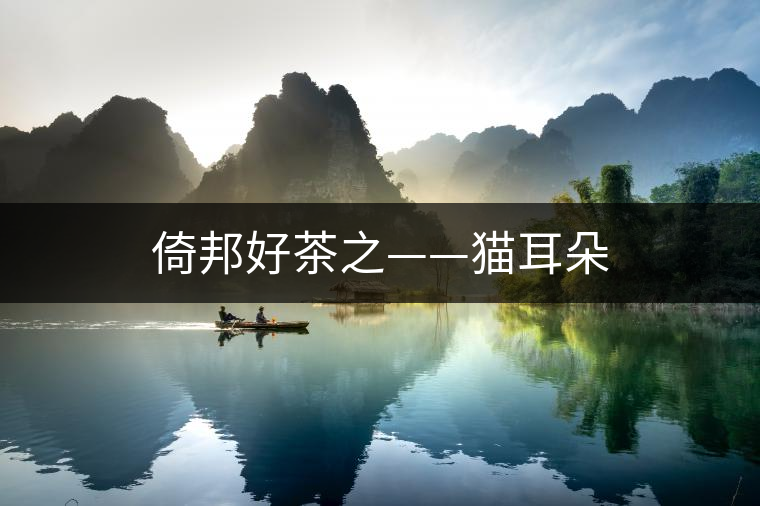 倚邦好茶之——貓耳朵 倚邦好茶之——貓耳朵
