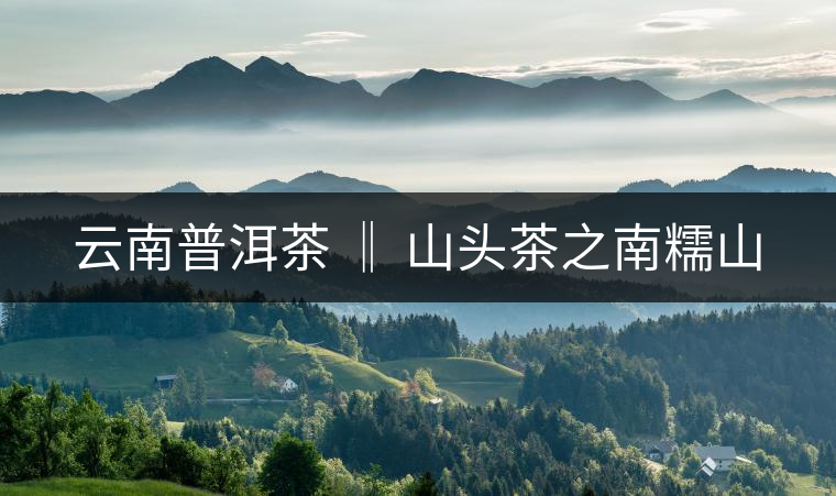 云南普洱茶 ‖ 山頭茶之南糯山