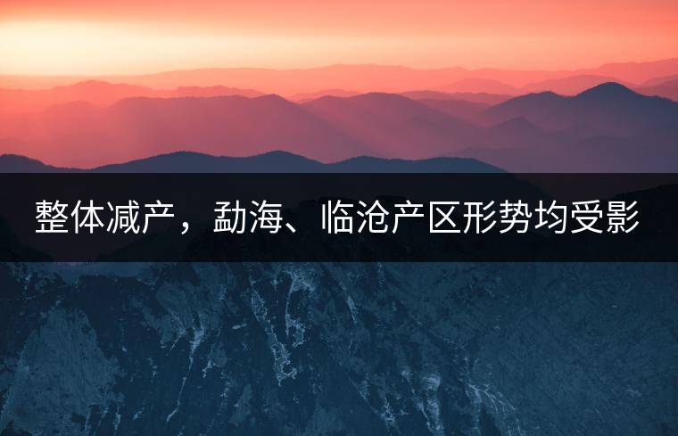 整體減產(chǎn),勐海、臨滄產(chǎn)區(qū)形勢(shì)均受影響 整體減產(chǎn),勐海、臨滄產(chǎn)區(qū)形勢(shì)均受影響