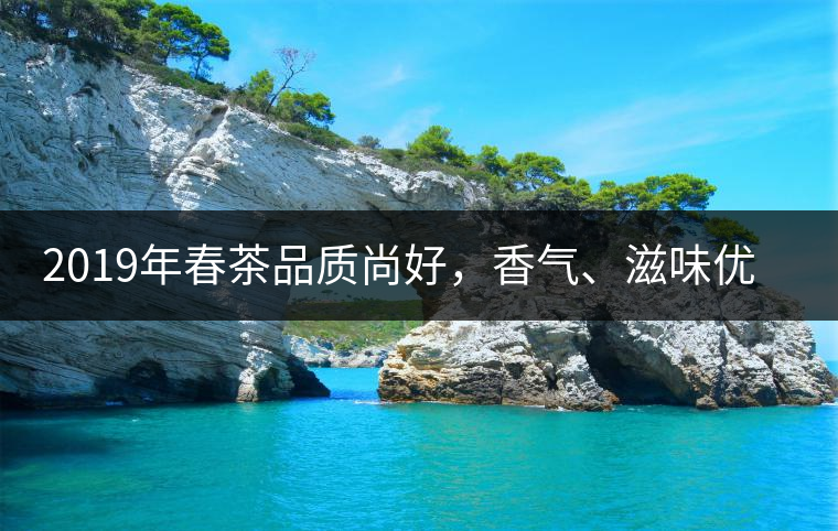 2019年春茶品質(zhì)尚好,香氣、滋味優(yōu)于去年 2019年春茶品質(zhì)尚好,香氣、滋味優(yōu)于去年