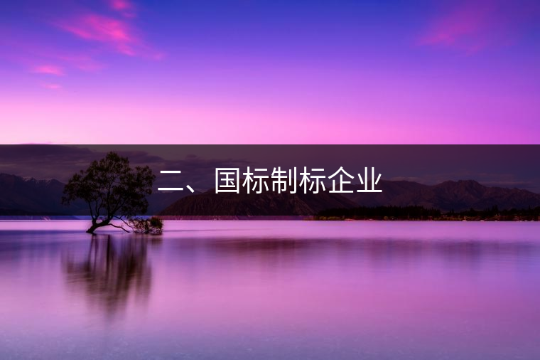 二、國標制標企業 二、國標制標企業