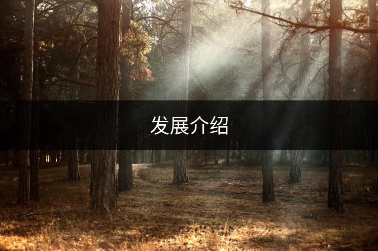 發展介紹 發展介紹