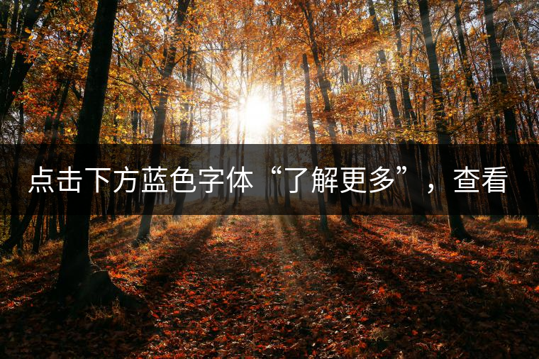 點擊下方藍色字體“了解更多”，查看文中經典老班章普洱茶品及更多好茶！