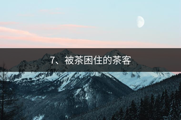 7、被茶困住的茶客 7、被茶困住的茶客