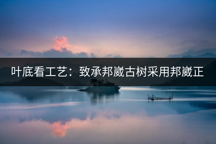 葉底看工藝:致承邦崴古樹采用邦崴正山三百至五百年古茶樹頭春鮮葉。經手工殺青,石墨壓制,餅型周正,嚴守傳統工藝;葉底鮮活,幾乎無糊點,前期殺青較輕,這樣更利于后期轉化。 葉底看工藝:致承邦崴古樹采用邦崴正山三百至五百年古茶樹頭春鮮葉。經手工殺青,石墨壓制,餅型周正,嚴守傳統工藝;葉底鮮活,幾乎無糊點,前期殺青較輕,這樣更利于后期轉化。