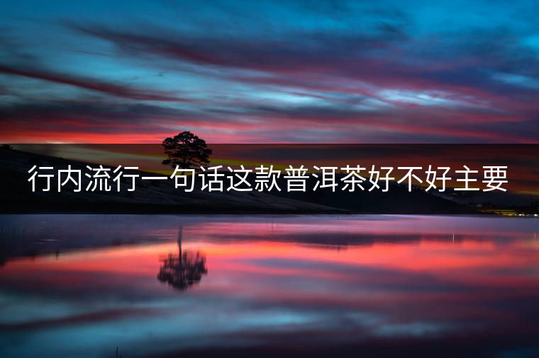 行內流行一句話這款普洱茶好不好主要還看尾水,雖然比較片面但是也有一定道理。 行內流行一句話這款普洱茶好不好主要還看尾水,雖然比較片面但是也有一定道理。