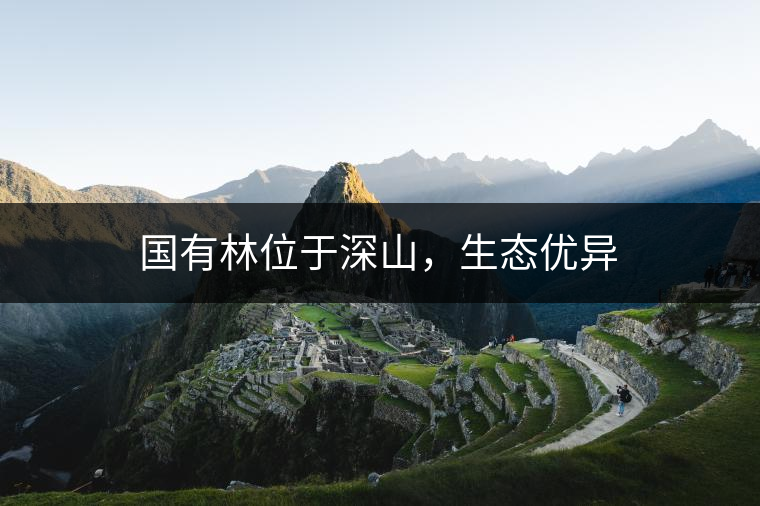 國有林位于深山,生態優異 國有林位于深山,生態優異