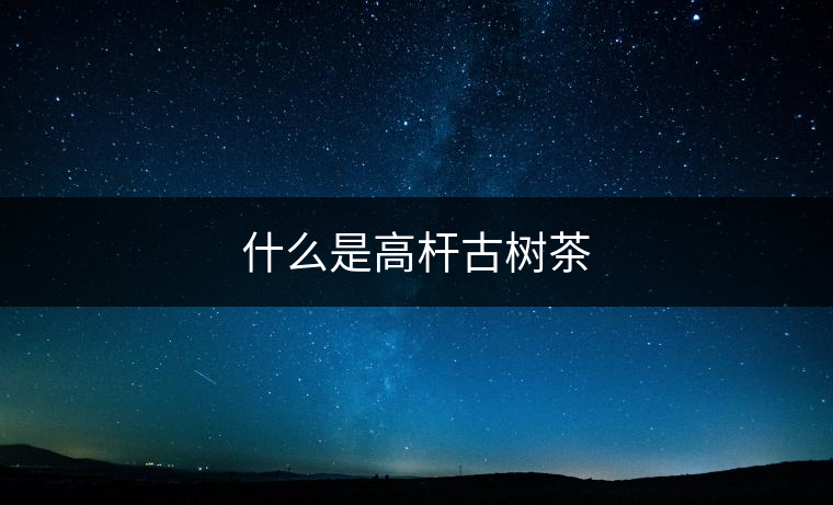 什么是高桿古樹茶 什么是高桿古樹茶