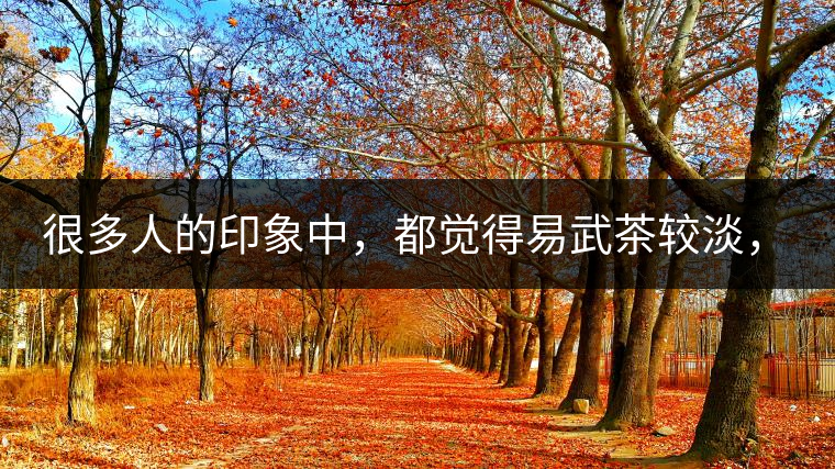 很多人的印象中，都覺得易武茶較淡，但存放幾年后，再喝又覺得茶味茶氣變濃了。我們就這個問題，考察了易武古茶山，和走訪了當地茶農。我們發現這跟易武古樹茶的茶質和茶農制茶的傳統工藝有關。