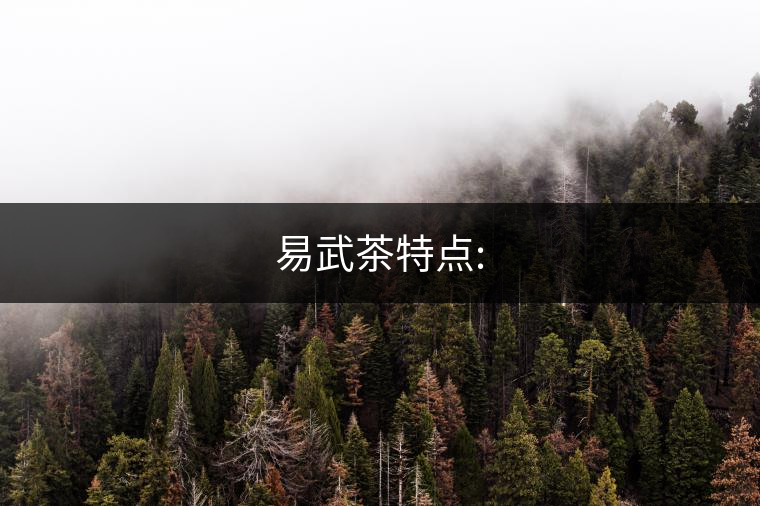 易武茶特點: 易武茶特點: