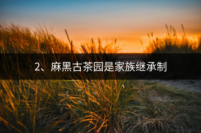 2、麻黑古茶園是家族繼承制 2、麻黑古茶園是家族繼承制