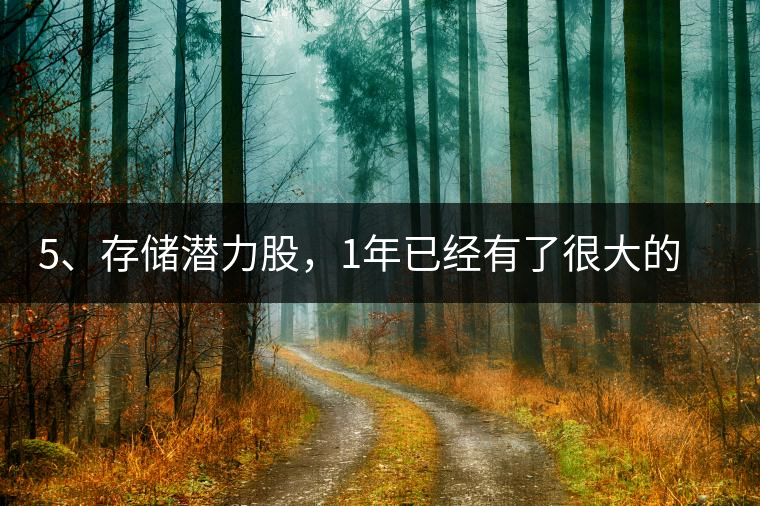 5、存儲潛力股，1年已經有了很大的變化