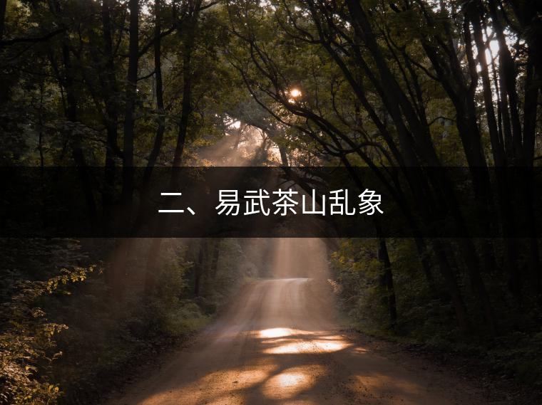 二、易武茶山亂象 二、易武茶山亂象