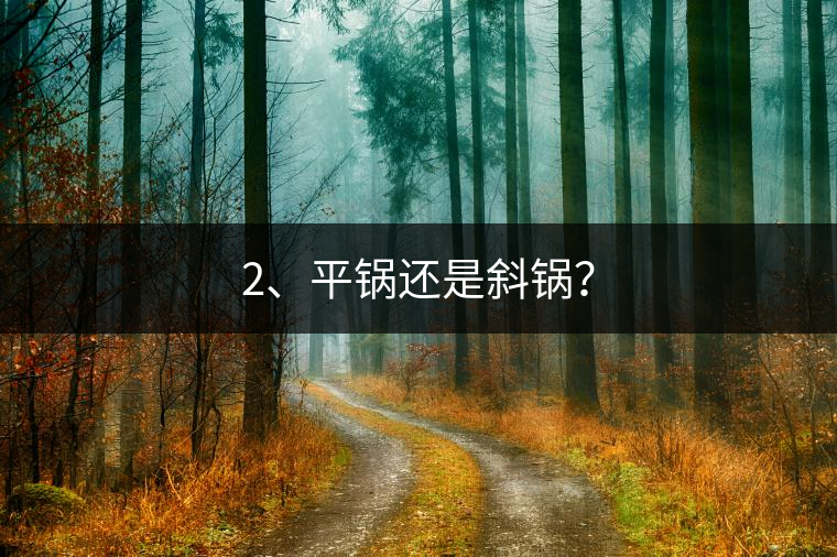 2、平鍋還是斜鍋? 2、平鍋還是斜鍋?