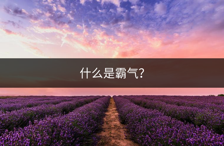 什么是霸氣? 什么是霸氣?