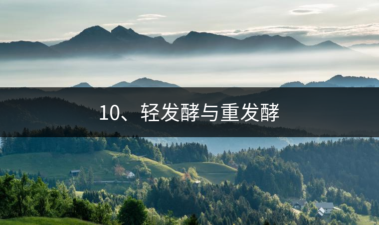 10、輕發酵與重發酵 10、輕發酵與重發酵