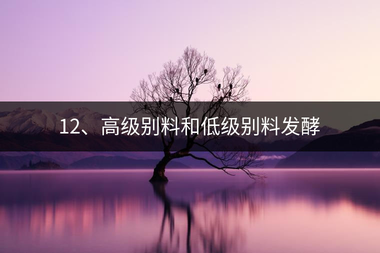 12、高級別料和低級別料發酵 12、高級別料和低級別料發酵