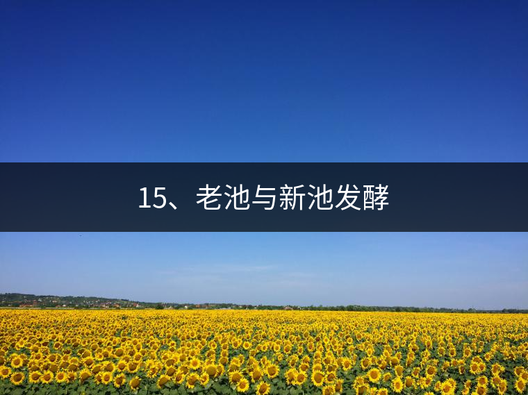 15、老池與新池發酵 15、老池與新池發酵