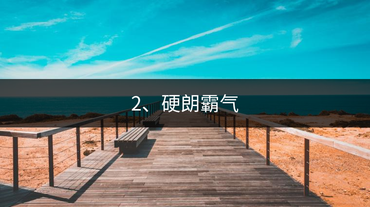 2、硬朗霸氣 2、硬朗霸氣