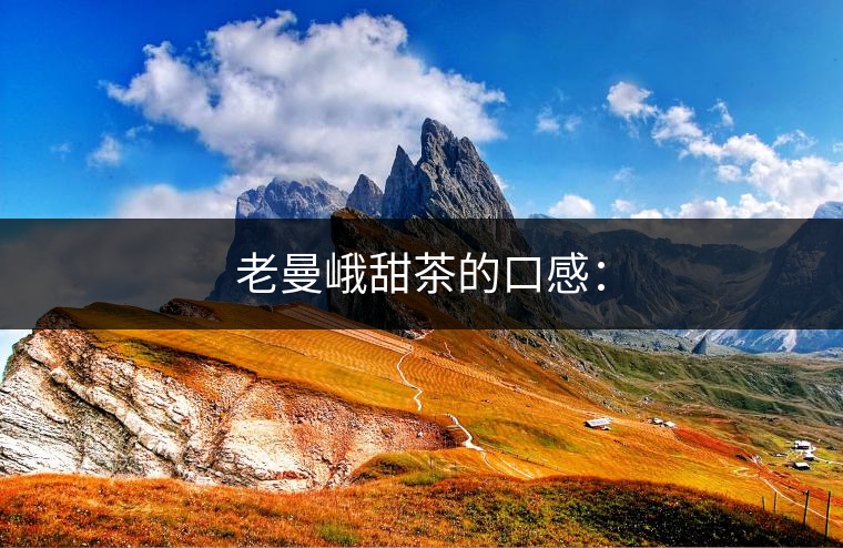 老曼峨甜茶的口感: 老曼峨甜茶的口感: