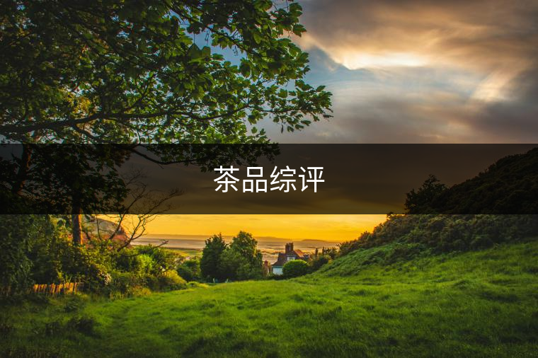 茶品綜評 茶品綜評