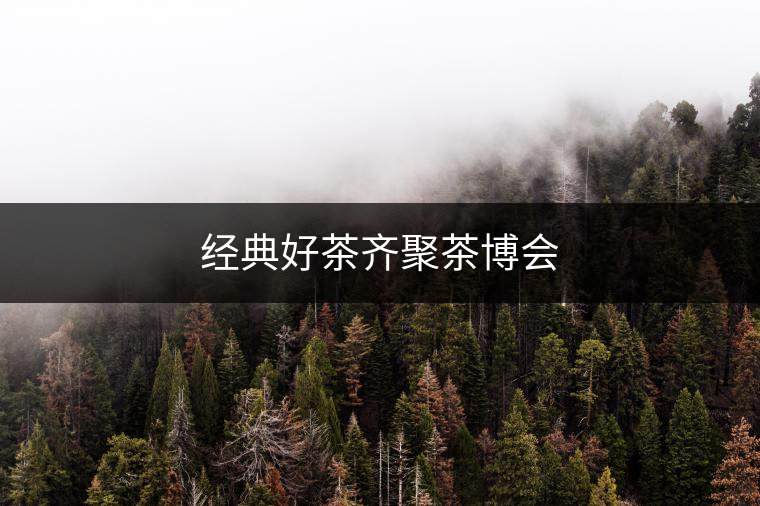 經典好茶齊聚茶博會