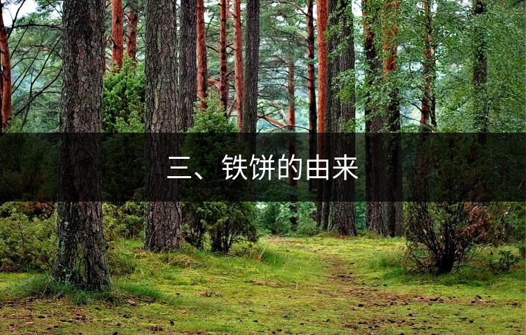 三、鐵餅的由來 三、鐵餅的由來