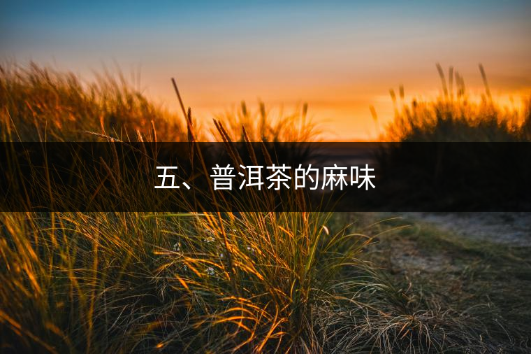 五、普洱茶的麻味 五、普洱茶的麻味