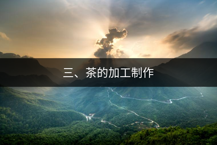 三、茶的加工制作 三、茶的加工制作
