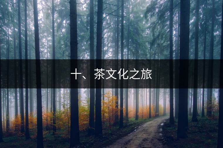 十、茶文化之旅 十、茶文化之旅