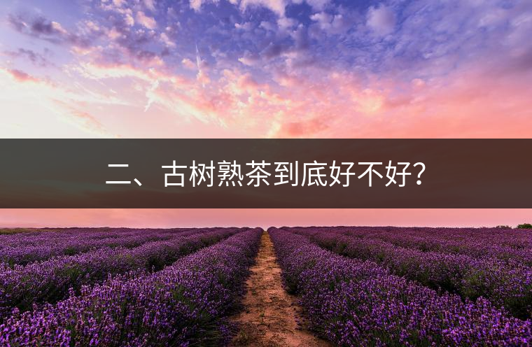 二、古樹熟茶到底好不好? 二、古樹熟茶到底好不好?