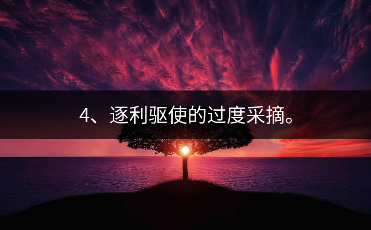 4、逐利驅(qū)使的過度采摘。 4、逐利驅(qū)使的過度采摘。