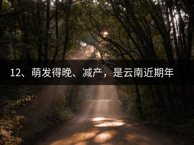 12、萌發(fā)得晚、減產(chǎn),是云南近期年氣候變化在茶樹上的延遲反映。 12、萌發(fā)得晚、減產(chǎn),是云南近期年氣候變化在茶樹上的延遲反映。