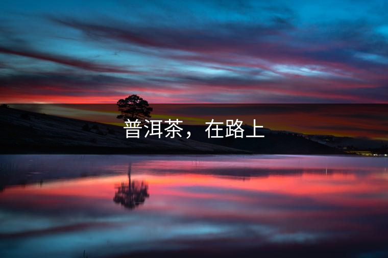 普洱茶,在路上 普洱茶,在路上
