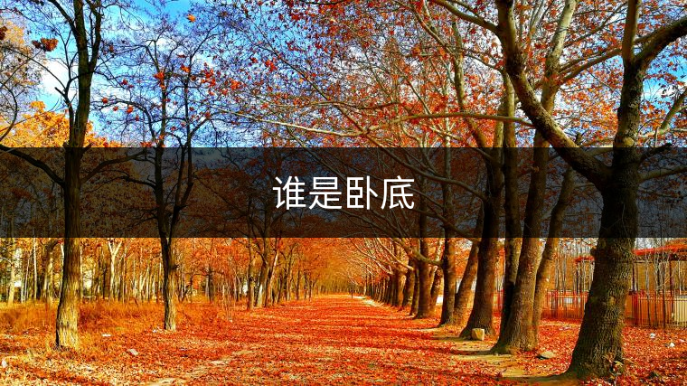 誰是臥底 誰是臥底