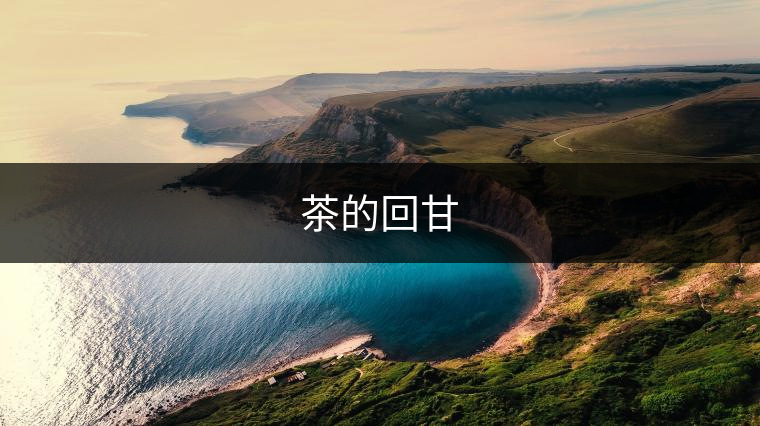 茶的回甘 茶的回甘