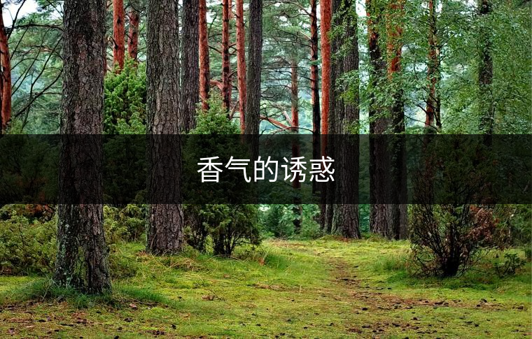 香氣的誘惑 香氣的誘惑