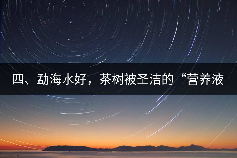 四、勐海水好，茶樹被圣潔的“營養液”所滋養