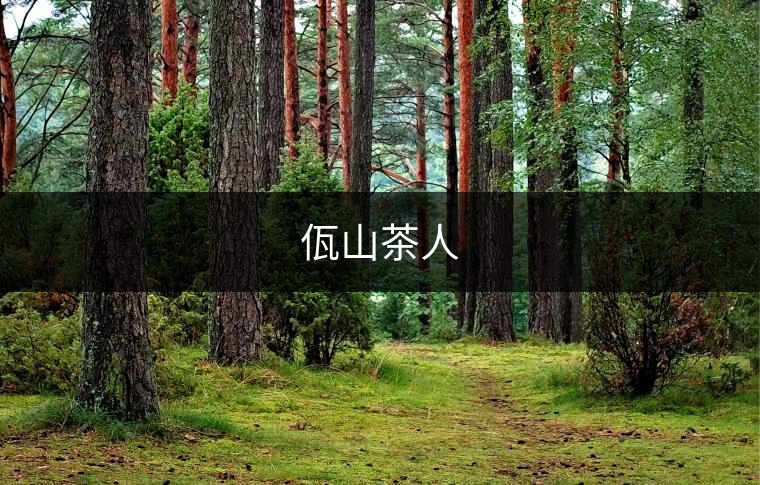 佤山茶人 佤山茶人